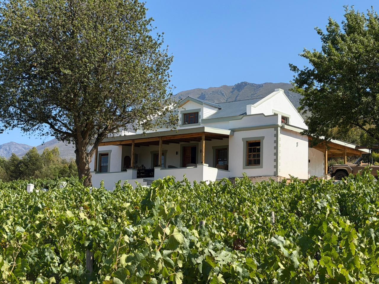 You are currently viewing Windkraal Guest Farm