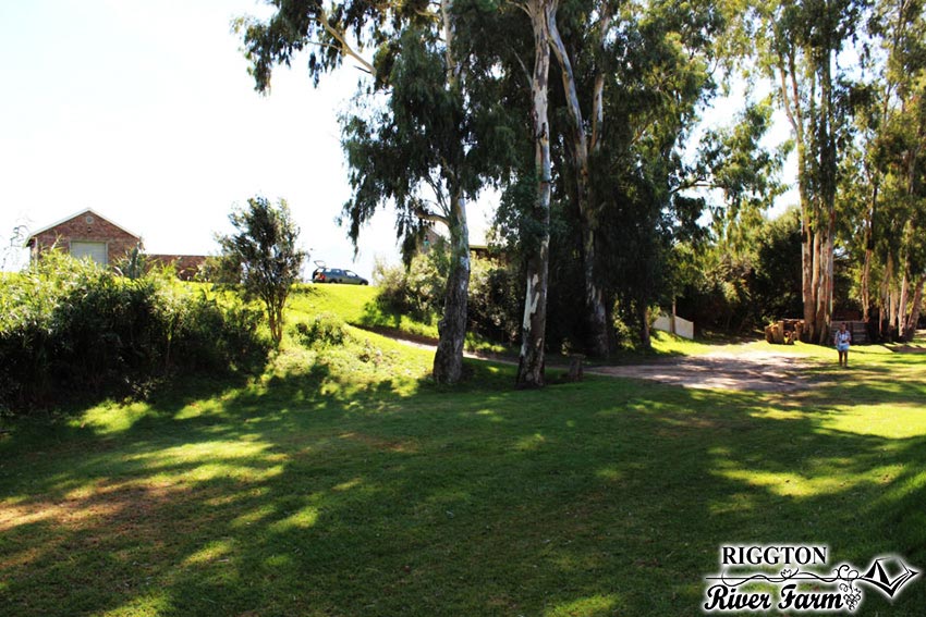 You are currently viewing Riggton River Farm