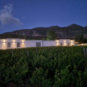 A wine estate at night, featuring modern white buildings surrounded by lush vineyards and mountains in the background.